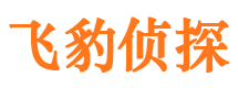 大埔侦探公司